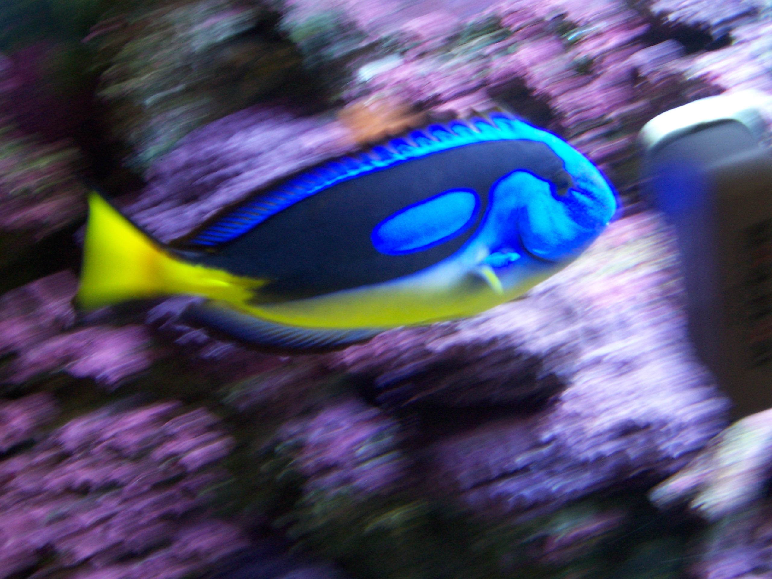 100_0914.jpg