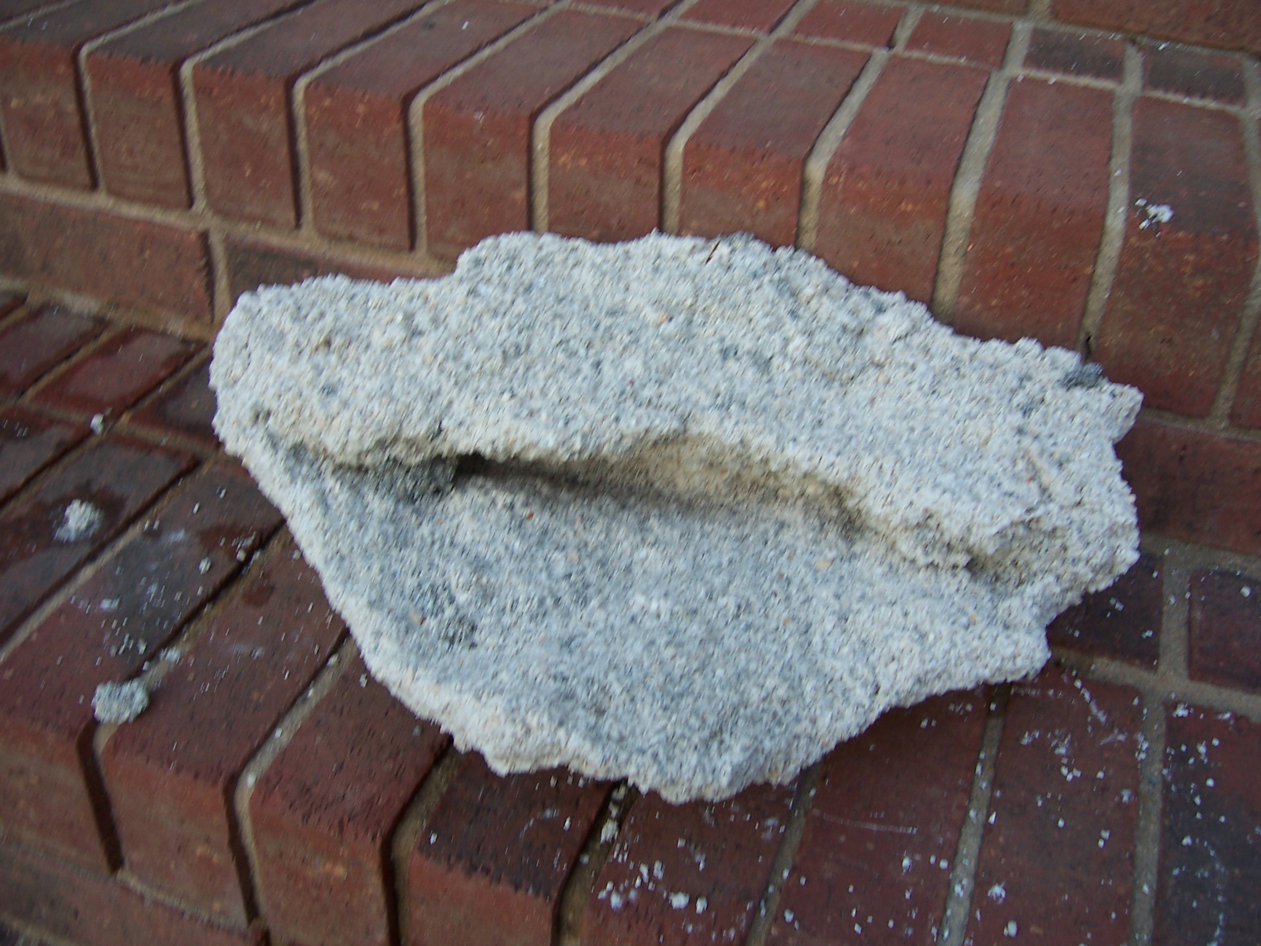 100_1666.jpg