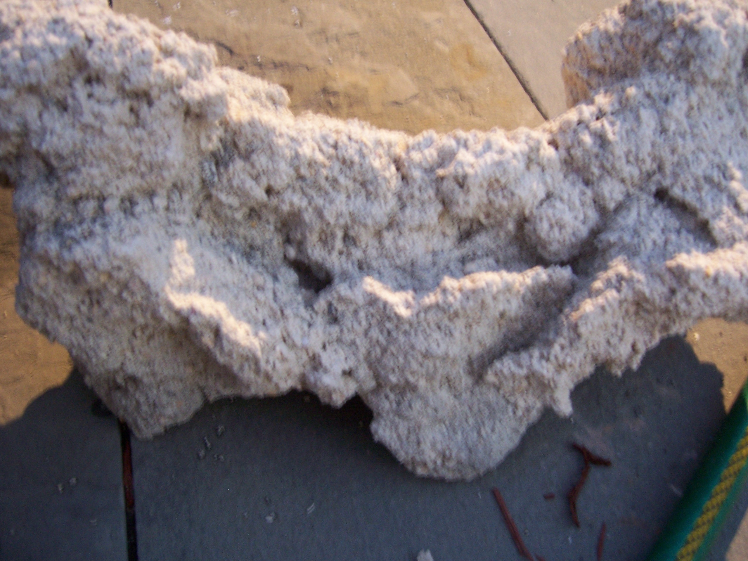 100_1733.jpg